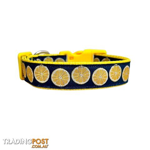 Lemon Dog Collar - Hand Made by The Bark Side - TBSLEMMED