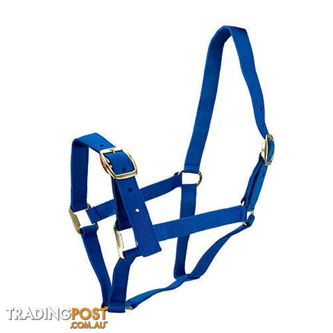 Click to Enlarge HORSE HALTERS - BAINBRIDGE - BB-A2201-PUR