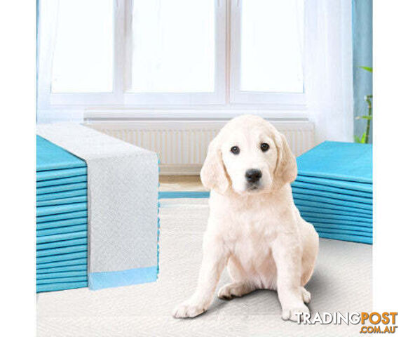 Puppy Dog Pet Training Pads Cat Toilet 60 x 60cm Super Absorbent Indoor Disposable - PET-PAD-PK-200