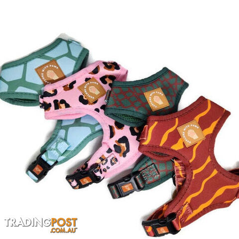 Designer Dog Harness by Explore with Paws - EWPHARSCROY