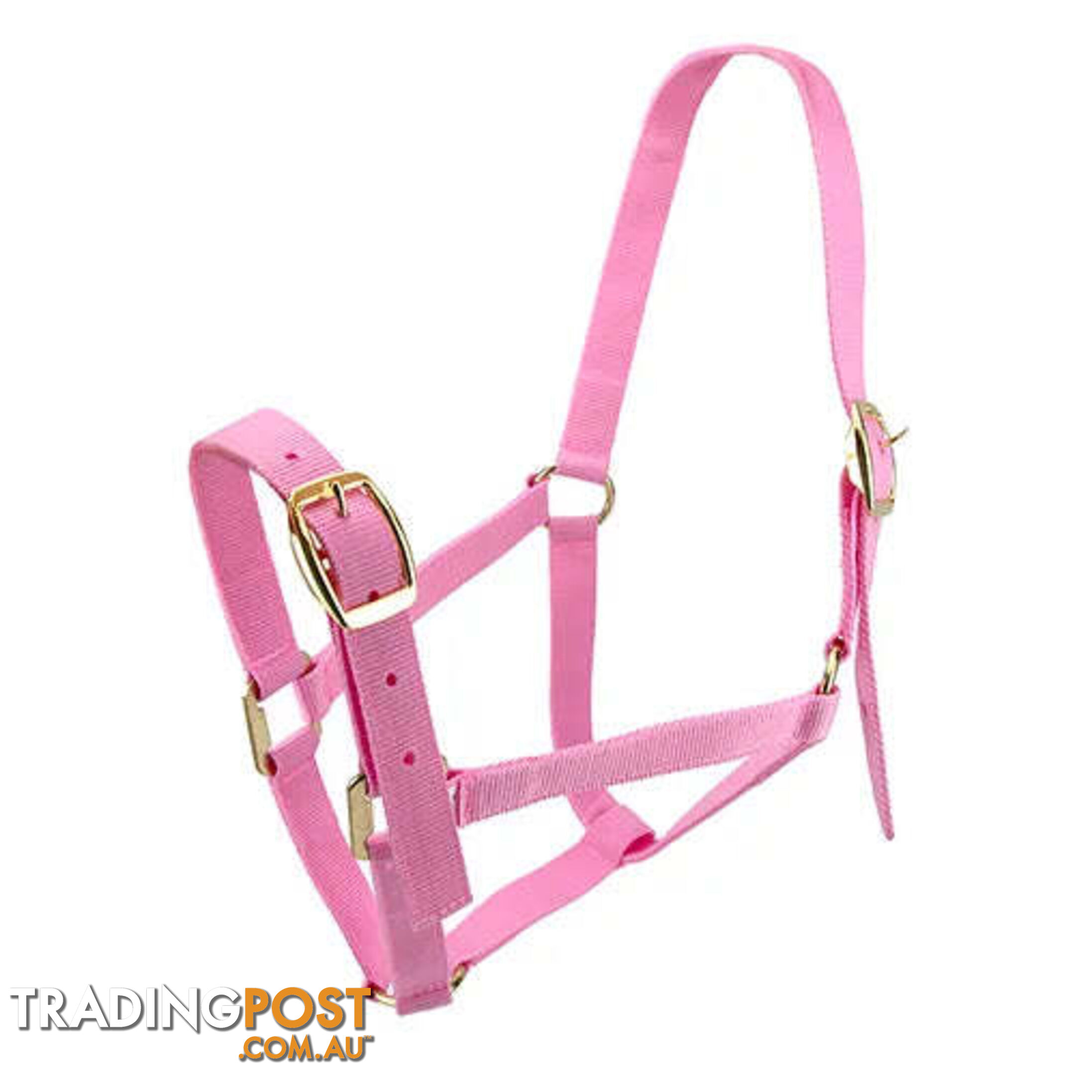 Click to Enlarge HORSE HALTERS - BAINBRIDGE - BB-A2196-PUR