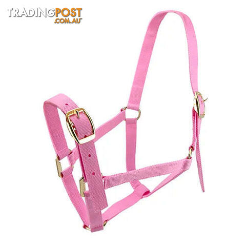 Click to Enlarge HORSE HALTERS - BAINBRIDGE - BB-A2196-PUR