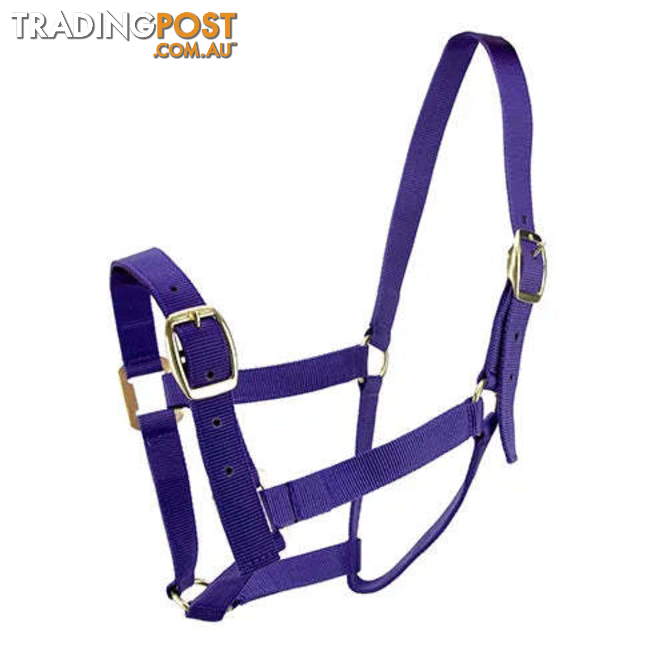 Click to Enlarge HORSE HALTERS - BAINBRIDGE - BB-A2196-PUR