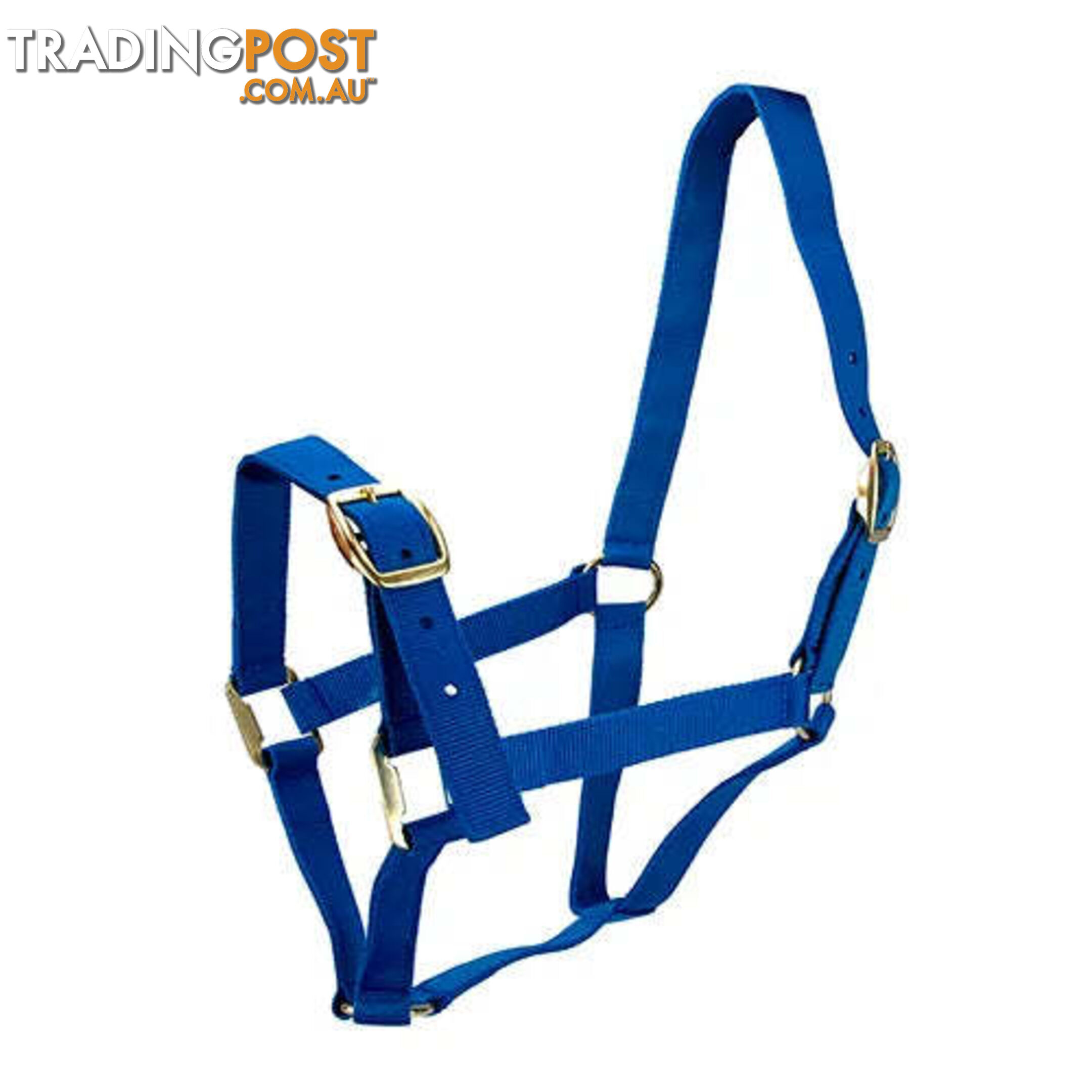 Click to Enlarge HORSE HALTERS - BAINBRIDGE - BB-A2196-PUR