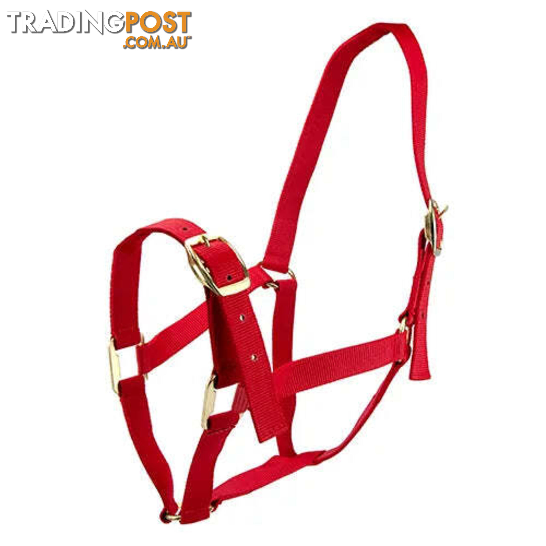 Click to Enlarge HORSE HALTERS - BAINBRIDGE - BB-A2196-PUR