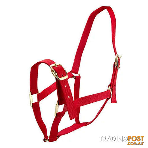 Click to Enlarge HORSE HALTERS - BAINBRIDGE - BB-A2196-PUR