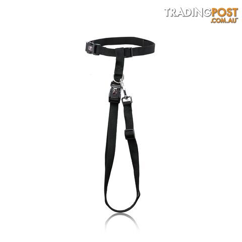 Hands Free Runner/Walker Waist Dog Leash Reflective- Moondidley Pets - MDPLDRUNGN