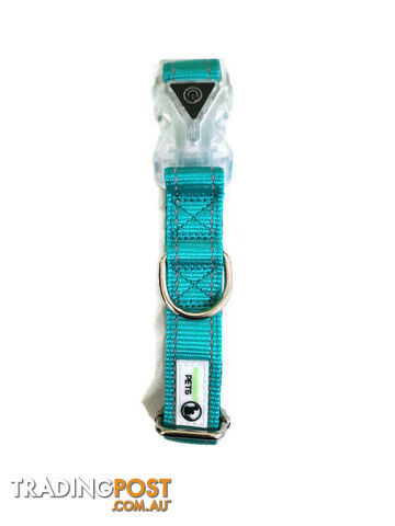 Dog Collar LED Flashing Light Buckle, Reflective Stitching - Moondidley Pets - MDPCOLLEDXSGRN - photo 4 of 7