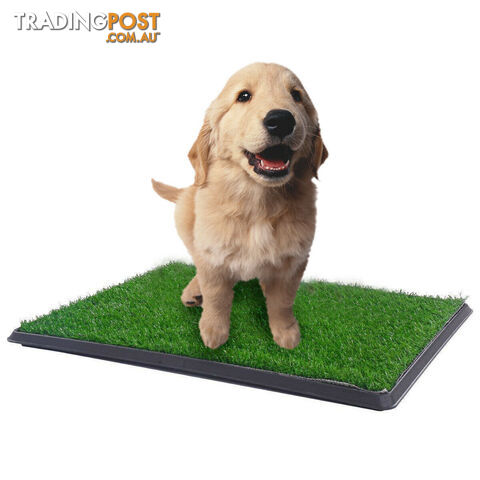 YES4PETS XL Indoor Dog Puppy Toilet Grass Training Mat Loo Pad Potty W 3 Grass -...
