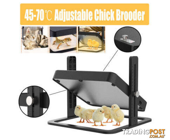 40 degrees celsius to 70 degrees celsius Adjustable Chick Brooder Heating Plate Chicken Coop Duck Poultry Brooder - V201-EGG0014BL8AU