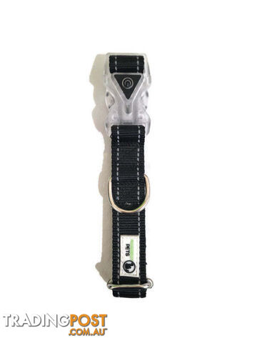 Dog Collar LED Flashing Light Buckle, Reflective Stitching - Moondidley Pets - MDPCOLLEDMPUR - photo 2 of 7