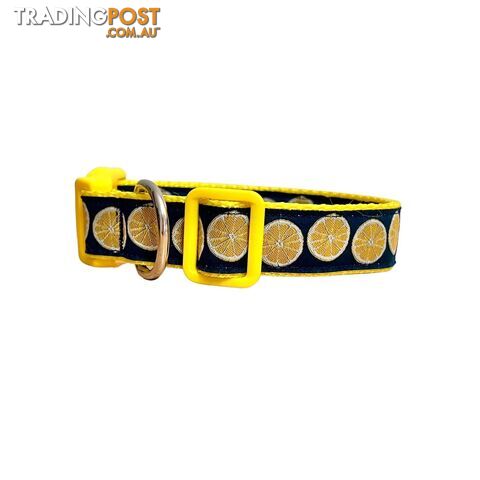 Lemon Dog Collar - Hand Made by The Bark Side - TBSLEMXS - photo 3 of 5