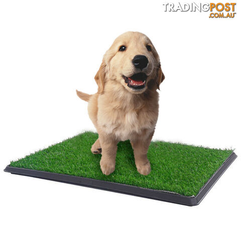 YES4PETS XL Indoor Dog Puppy Toilet Grass Training Mat Loo Pad Potty W 2 Grass -...