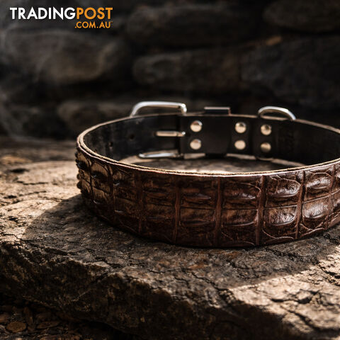 Crocodile Leather Dog Collar - Top Croc NT - BSPMCROCOLL