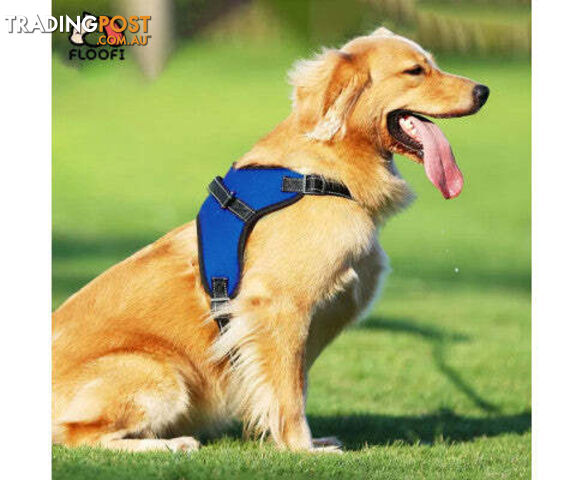 FLOOFI Dog Harness - V227-3331641041113
