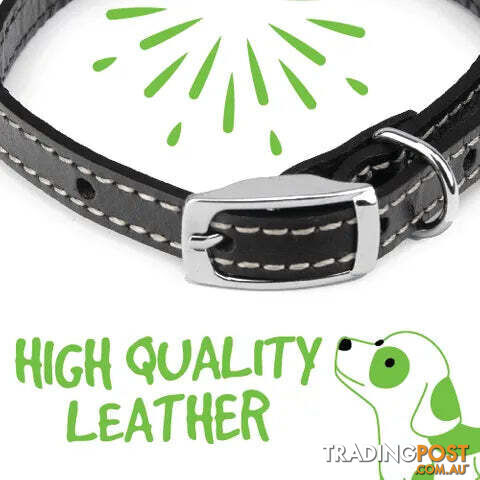 LEATHER COLLARS - BAINBRIDGE - BB-A7022-BRN - photo 5 of 5