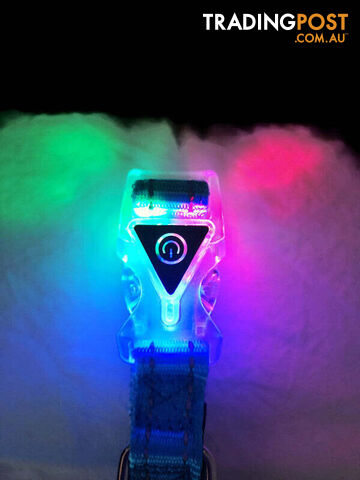 Dog Collar LED Flashing Light Buckle, Reflective Stitching - Moondidley Pets -...