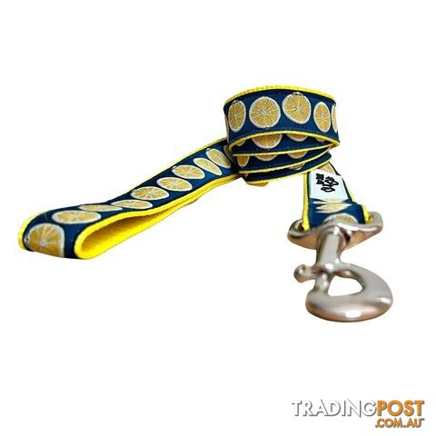 Lemon Dog Lead / Dog Leash - Hand Made by The Bark Side - TBSLDLEM251.5