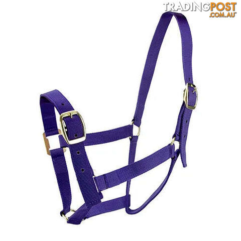 Click to Enlarge HORSE HALTERS - BAINBRIDGE - BB-A2202-RED