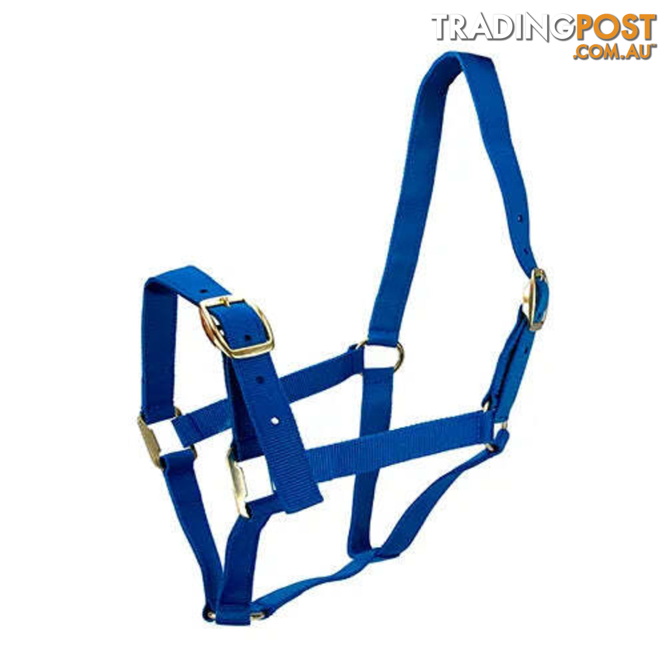 Click to Enlarge HORSE HALTERS - BAINBRIDGE - BB-A2202-RED