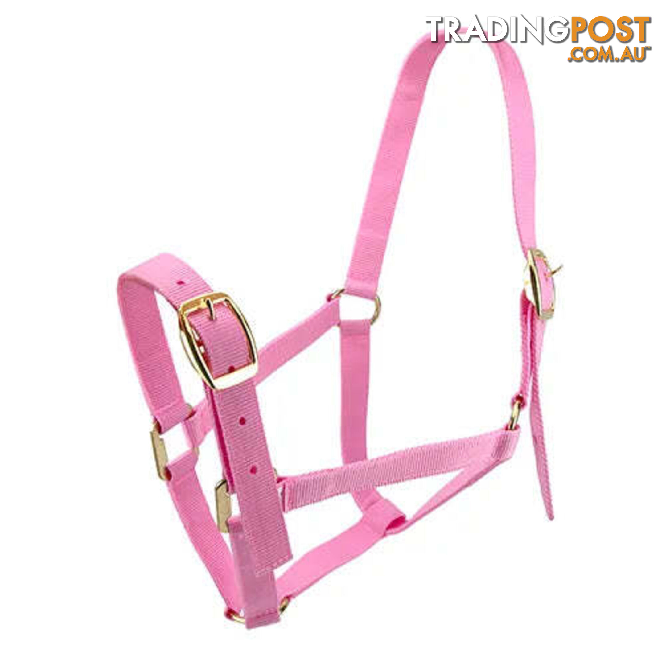 Click to Enlarge HORSE HALTERS - BAINBRIDGE - BB-A2202-RED