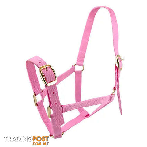 Click to Enlarge HORSE HALTERS - BAINBRIDGE - BB-A2202-RED