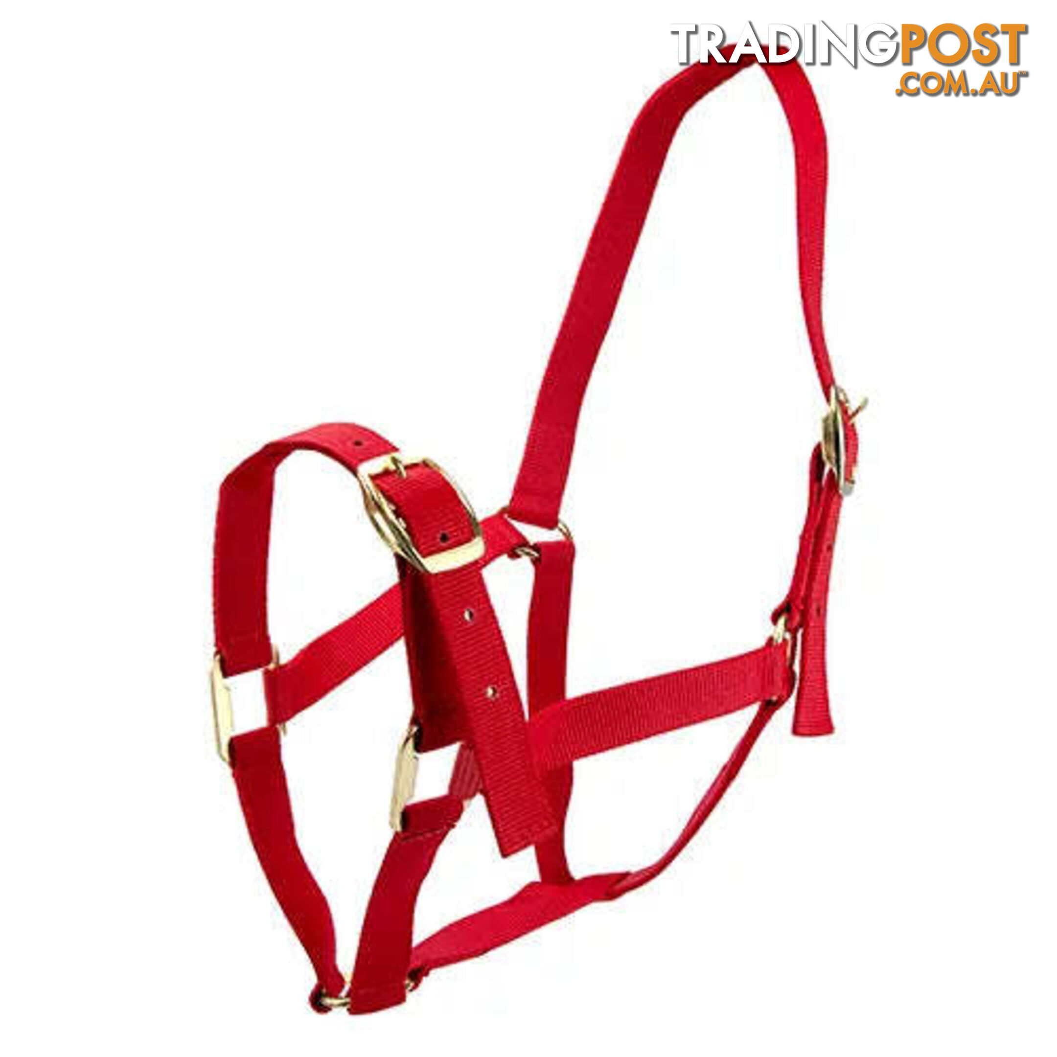 Click to Enlarge HORSE HALTERS - BAINBRIDGE - BB-A2202-RED