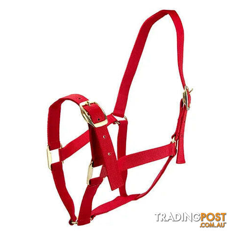 Click to Enlarge HORSE HALTERS - BAINBRIDGE - BB-A2202-RED