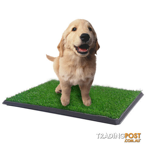 YES4PETS XL Indoor Dog Puppy Toilet Grass Training Mat Loo Pad Potty 76 X 51cm -...