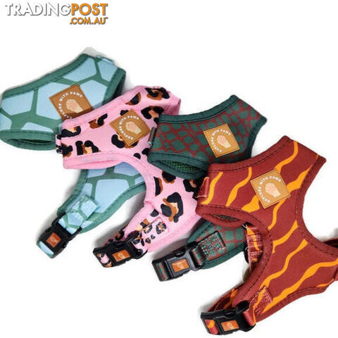 Designer Dog Harness by Explore with Paws - EWPHARSTURY