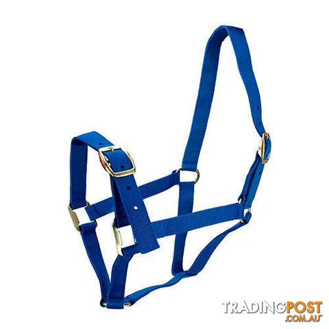 Click to Enlarge HORSE HALTERS - BAINBRIDGE - BB-A2201-RED