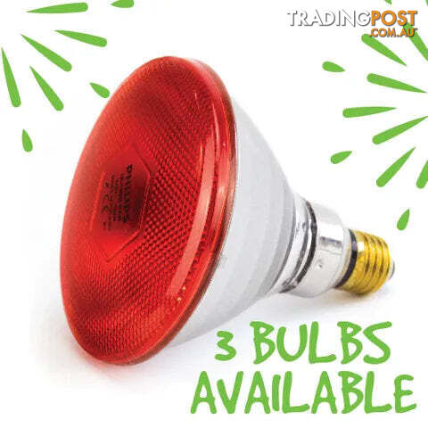 INFRARED LIGHT BULB - BAINBRIDGE - BB-A8044