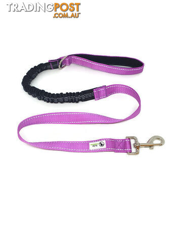 Bungee Dog Lead Nylon w/Reflective Stitching - Moondidley Pets - MDPLDBUNLBL