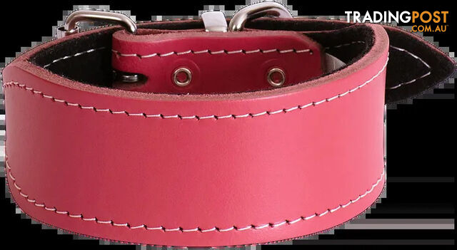 Leather Whippet Plain Dog Collar - Beau Pets - BP-1013308