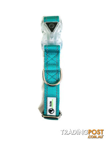 Dog Collar LED Flashing Light Buckle, Reflective Stitching - Moondidley Pets - MDPCOLLEDXLPUR - photo 4 of 7