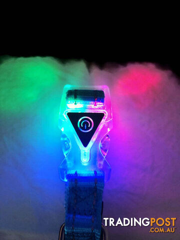 Dog Collar LED Flashing Light Buckle, Reflective Stitching - Moondidley Pets - MDPCOLLEDXLPUR - photo 1 of 7