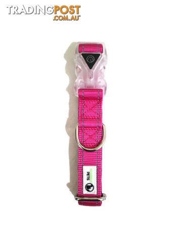 Dog Collar LED Flashing Light Buckle, Reflective Stitching - Moondidley Pets - MDPCOLLEDXLPUR - photo 3 of 7