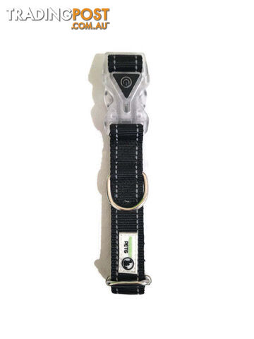 Dog Collar LED Flashing Light Buckle, Reflective Stitching - Moondidley Pets - MDPCOLLEDXLPUR - photo 2 of 7