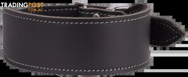 Greyhound Felt Lined Leather Collar - Beau Pets - BP-3001611