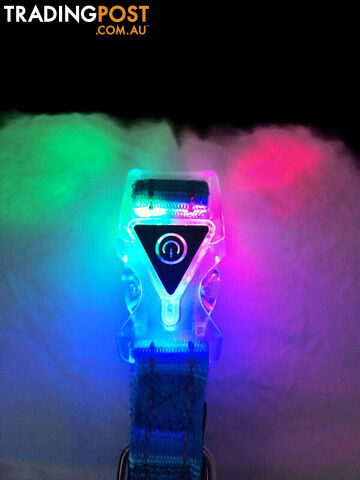 Dog Collar LED Flashing Light Buckle, Reflective Stitching - Moondidley Pets -...