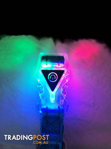 Dog Collar LED Flashing Light Buckle, Reflective Stitching - Moondidley Pets -...