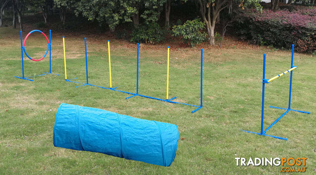 YES4PETS Portable Dog Puppy Training Practice Weave Poles Agility Post Exercise...