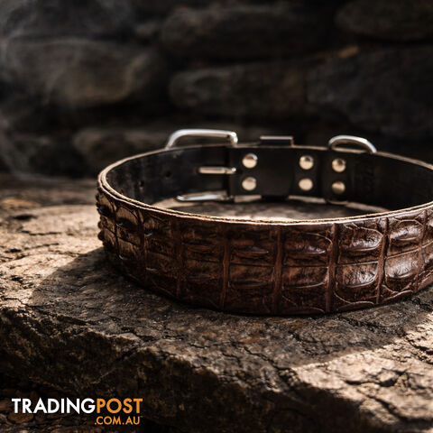 Crocodile Leather Dog Collar - Top Croc NT - BSPMCROCOLS