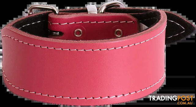 Leather Whippet Plain Dog Collar - Beau Pets - BP-1013310