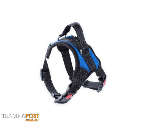 FLOOFI Dog Harness - V227-3331641041122