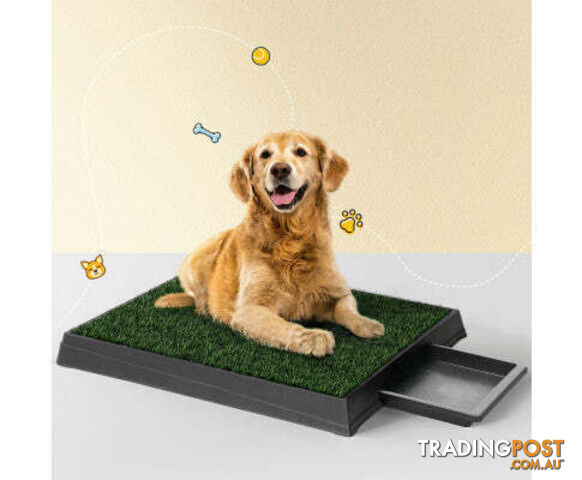 i.Pet Pet Training Pad With Tray Grass Mat - PET-PAD-GRASSX1