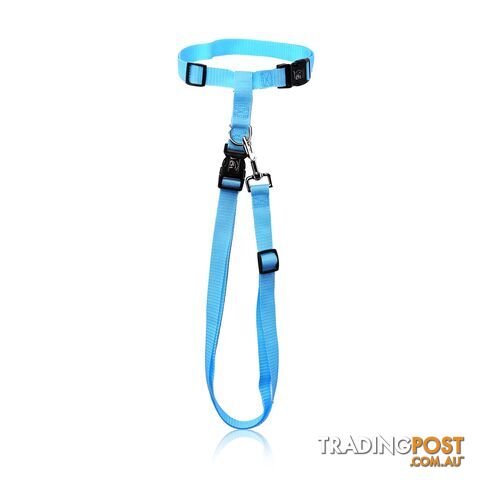 Hands Free Runner/Walker Waist Dog Leash Reflective- Moondidley Pets - MDPLDRUNPNK - photo 5 of 9