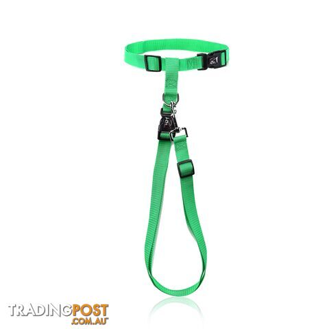 Hands Free Runner/Walker Waist Dog Leash Reflective- Moondidley Pets - MDPLDRUNPNK - photo 4 of 9