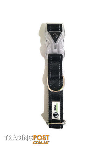 Dog Collar LED Flashing Light Buckle, Reflective Stitching - Moondidley Pets - MDPCOLLEDLTUR - photo 2 of 7