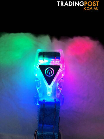 Dog Collar LED Flashing Light Buckle, Reflective Stitching - Moondidley Pets -...